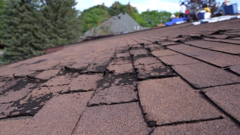 Best Cold Roofs  in Menomonee Falls, WI